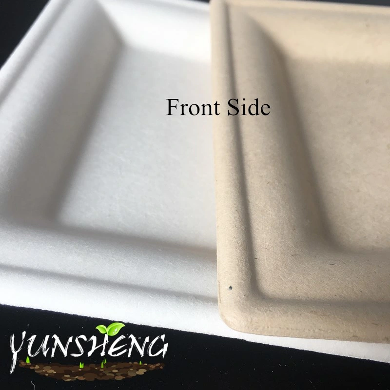 Bagasse Pulp Compostable Durable Paper Square Plate for Fruit