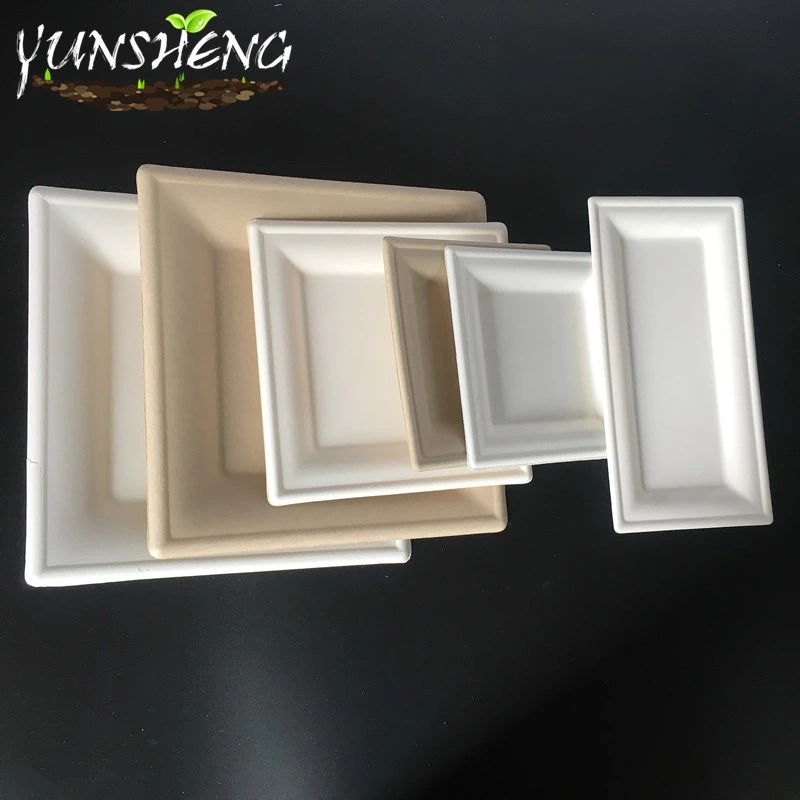 Bagasse Pulp Compostable Durable Paper Square Plate for Fruit