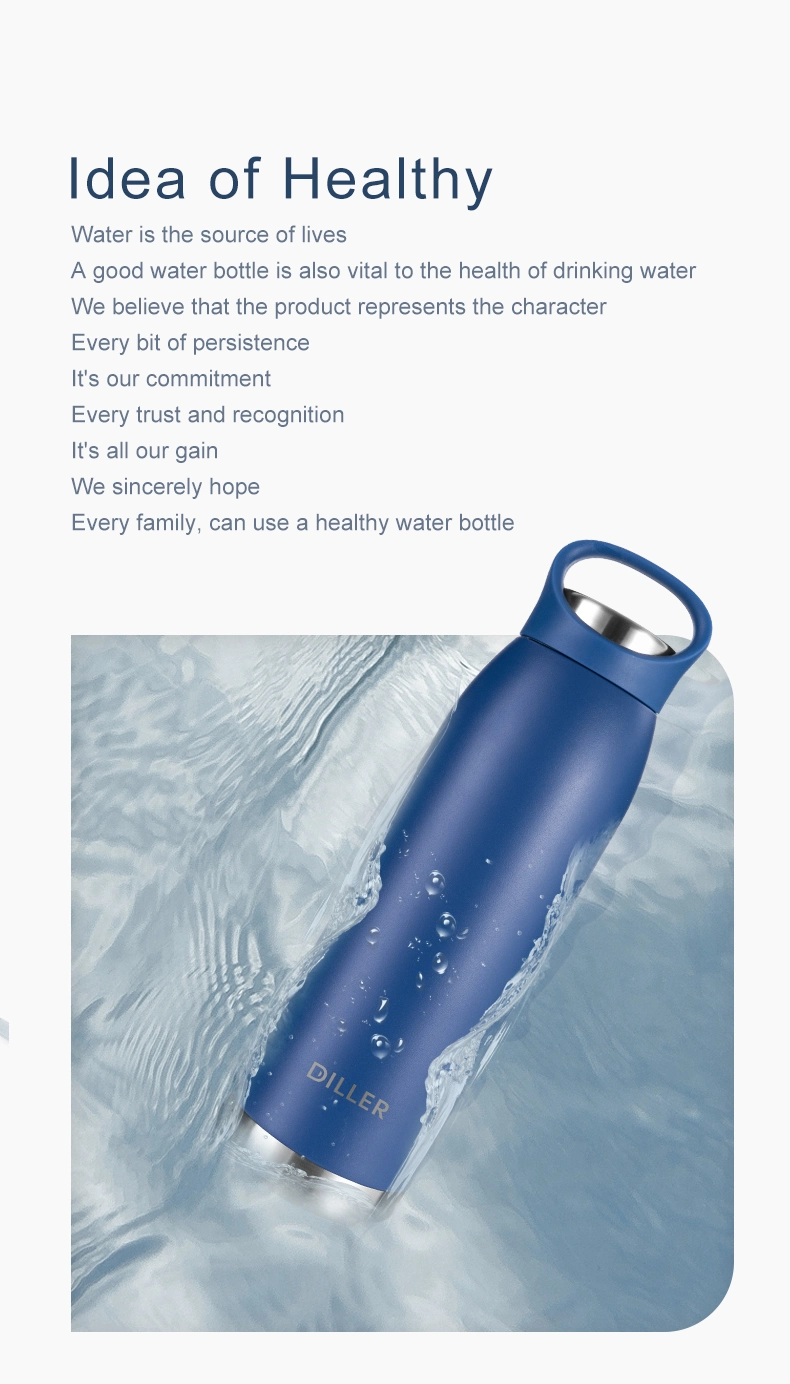 Sports Portable Insulated Stainless Steel Water Bottle with Handle